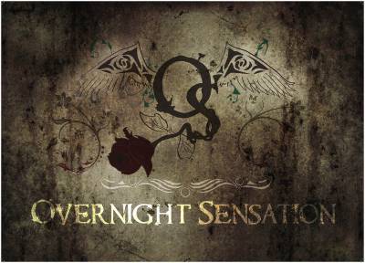 logo Overnight Sensation